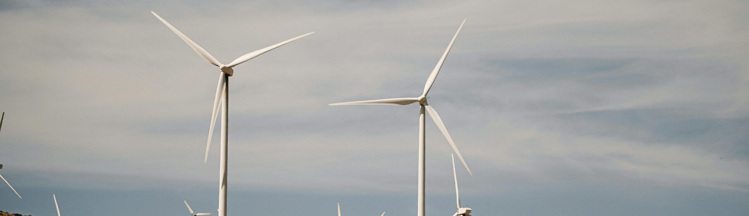 Renewable energy cables
